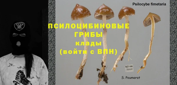 PSILOCYBIN Новозыбков