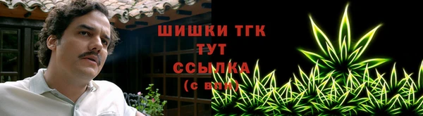 спиды Нефтекумск