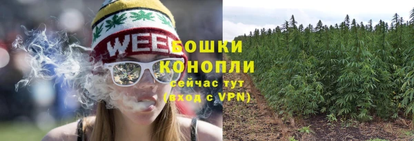 спиды Нефтекумск