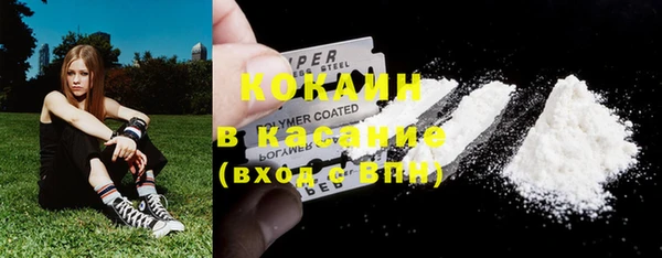PSILOCYBIN Новозыбков
